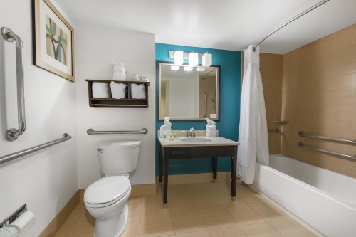Holiday Inn Savannah South badkamer